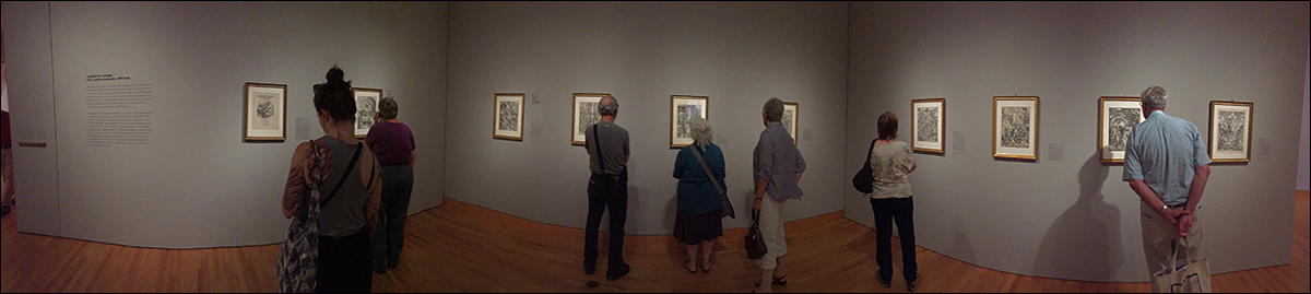 Durer, installation view Graphic Masters, Seattle Art Museum